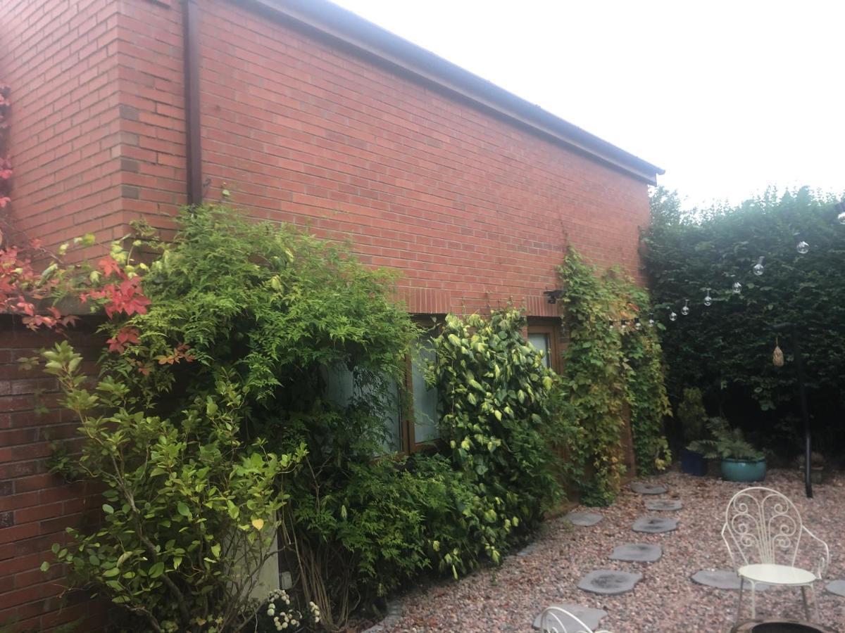 Self Contained Coach House In Leafy South Belfast The Location Is Not Accurate Lejlighed Eksteriør billede